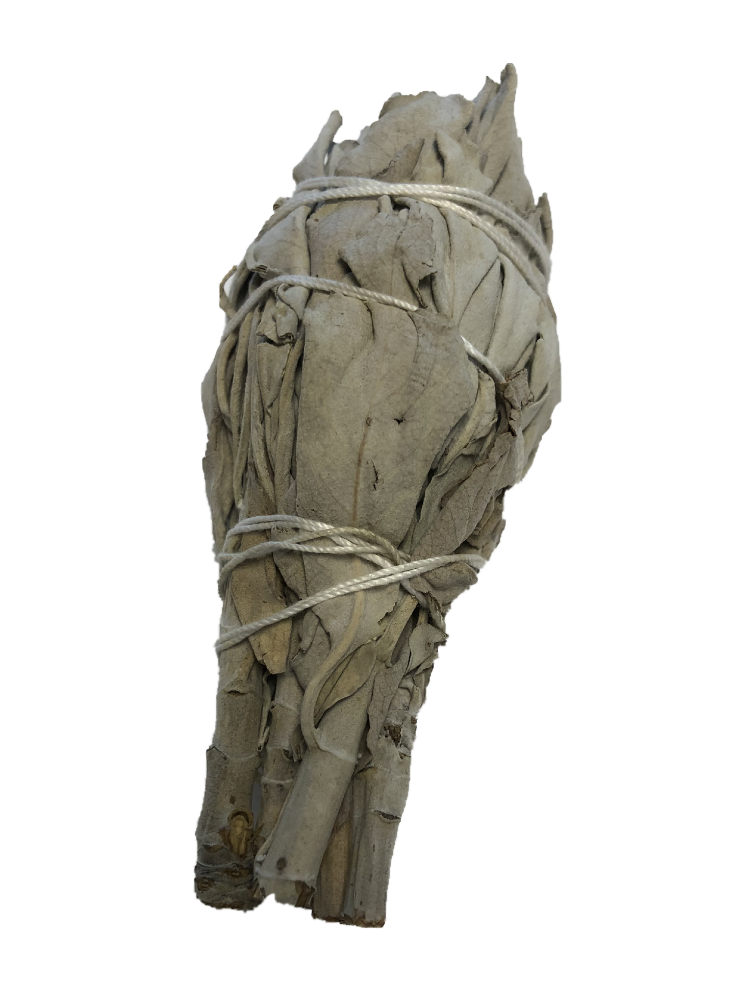 White Sage Smudging Stick