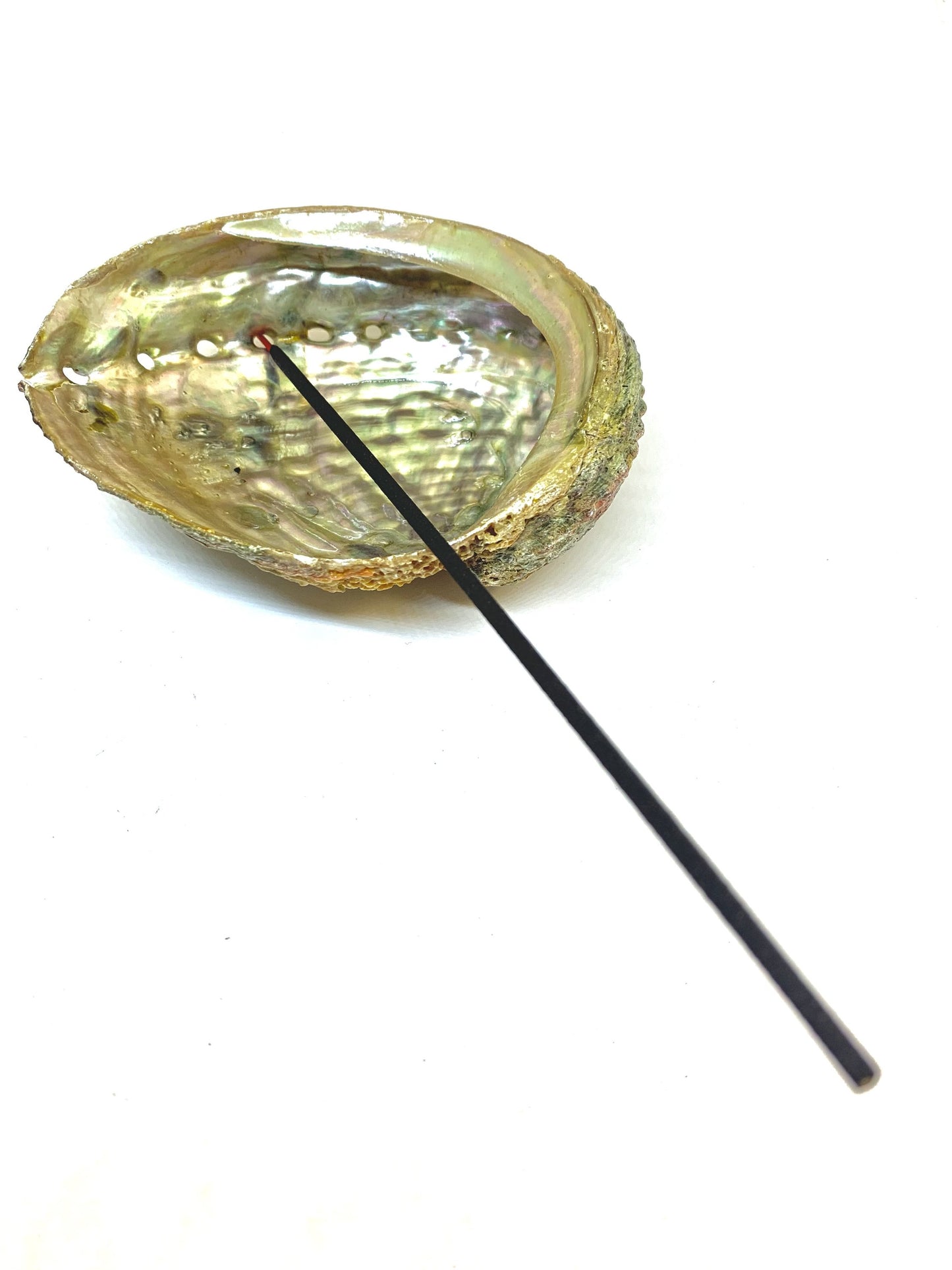 Abalone Shell Incense Holder