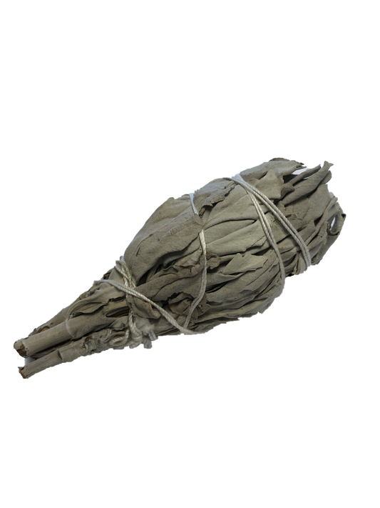 White Sage Smudging Stick